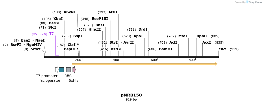 46498_map