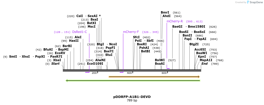 46499_map
