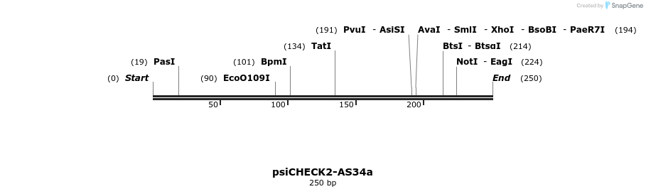 46503_map