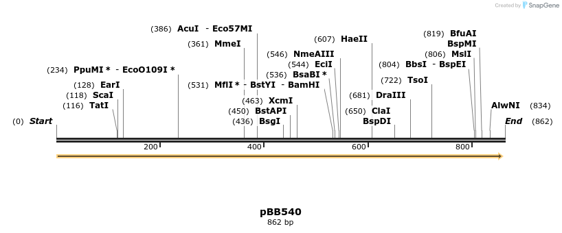 46504_map