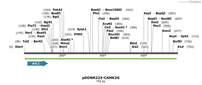 46507_map