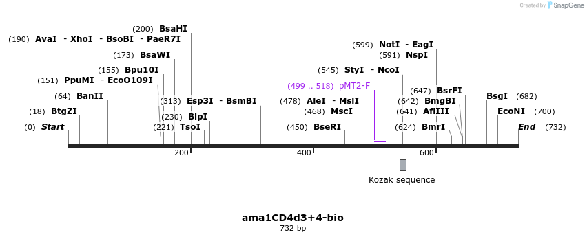 46513_map