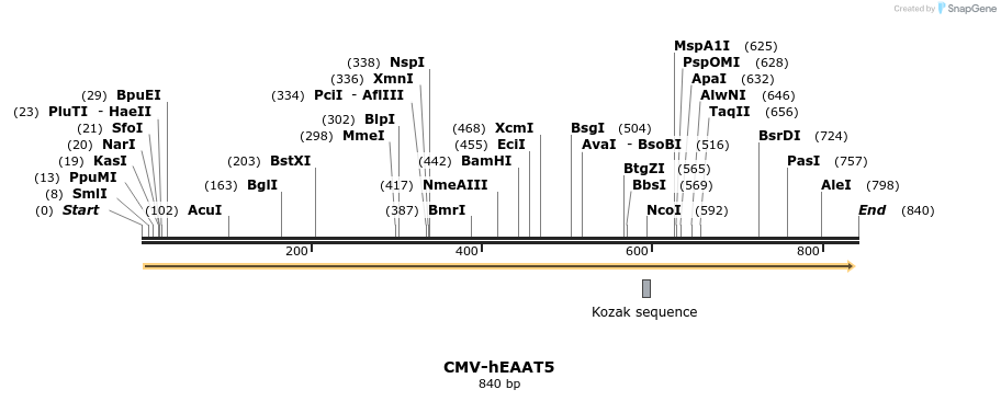 46530_map