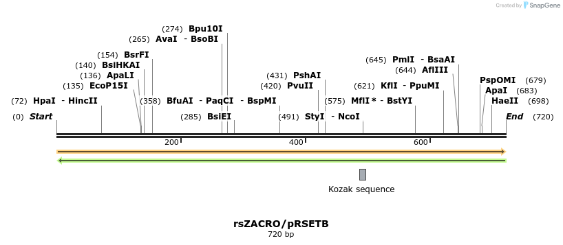 465300_map