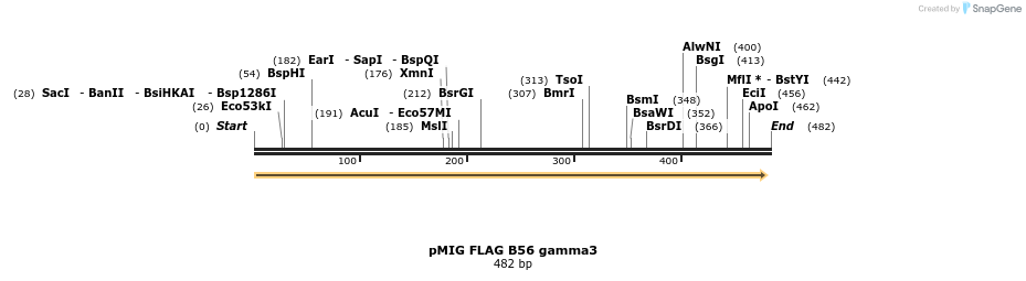 46534_map