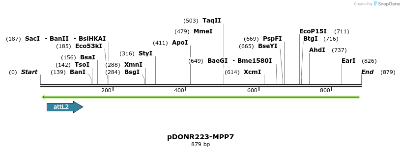 46537_map