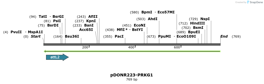 46539_map