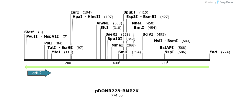 46540_map