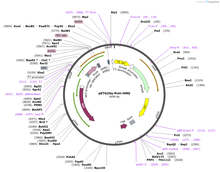 465428_map
