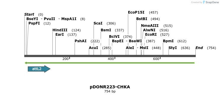 46543_map