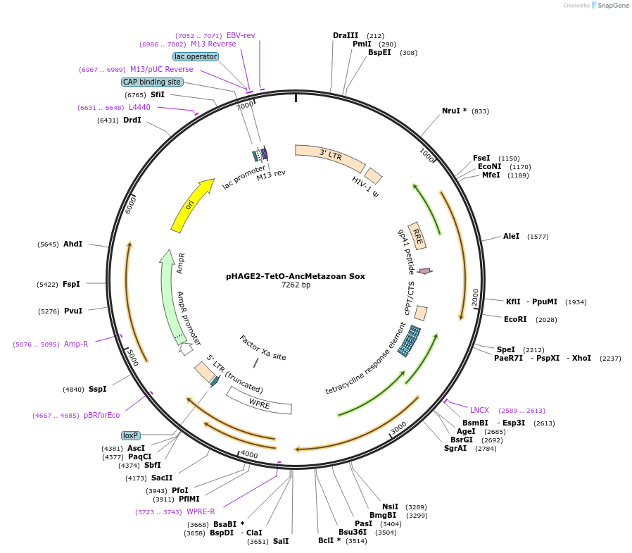 465434_map