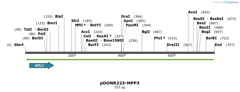 46546_map