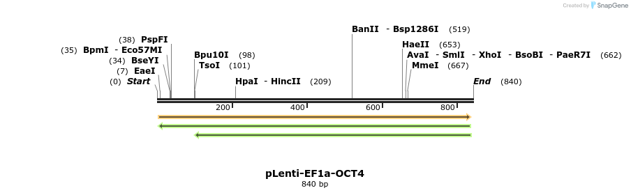 46549_map