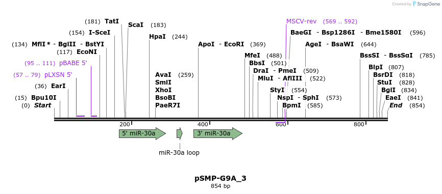 46555_map