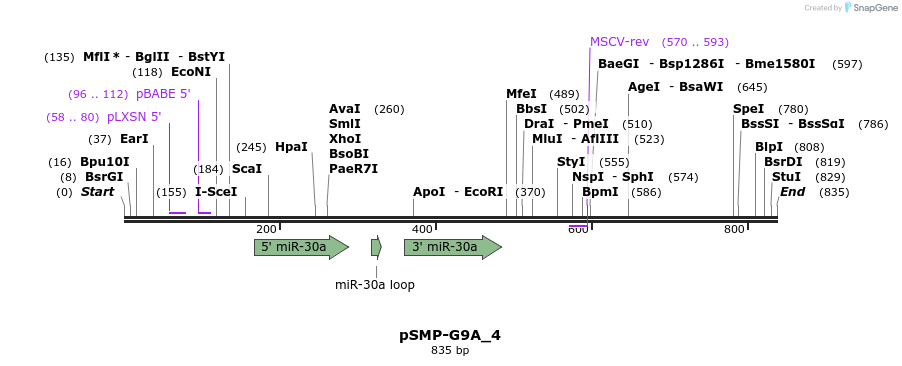 46556_map
