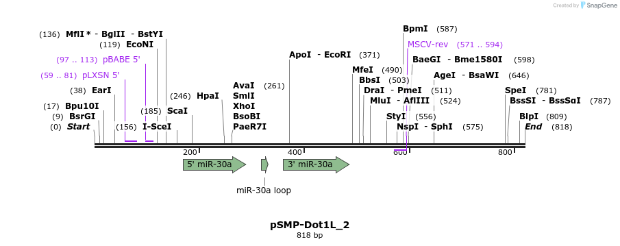 46562_map