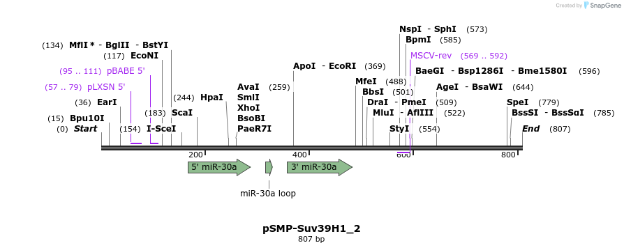46565_map