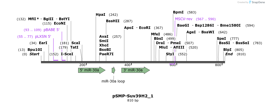 46566_map