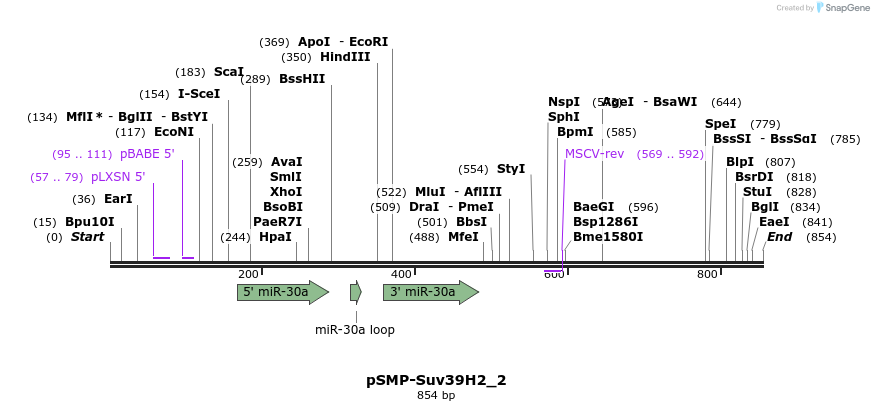 46567_map