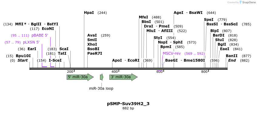 46568_map
