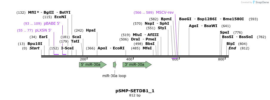 46569_map