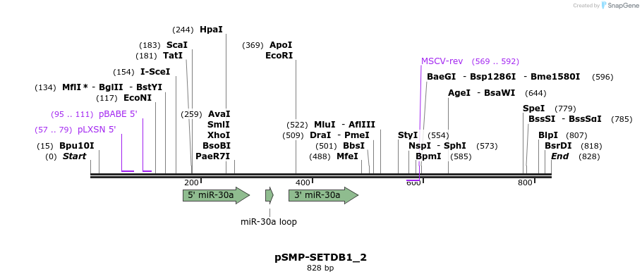 46570_map