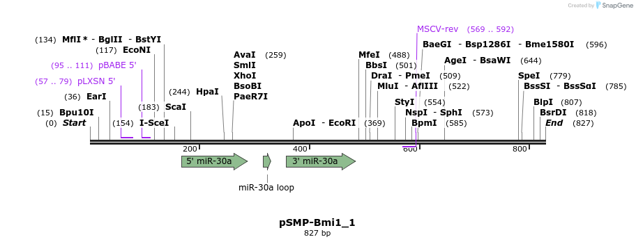 46574_map