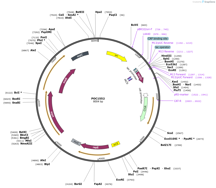 465744_map