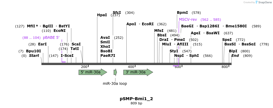 46575_map