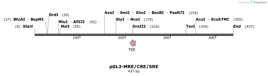 465767_map