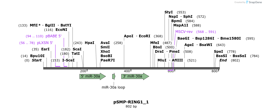 46577_map