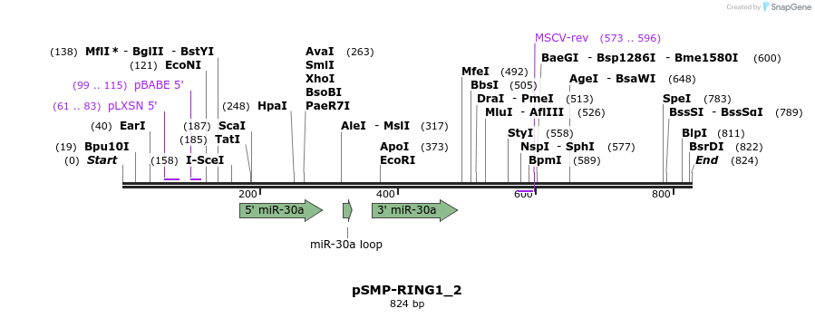 46578_map