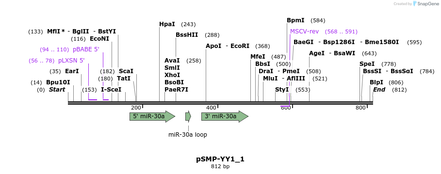 46579_map