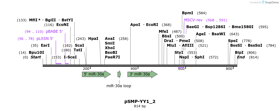 46580_map