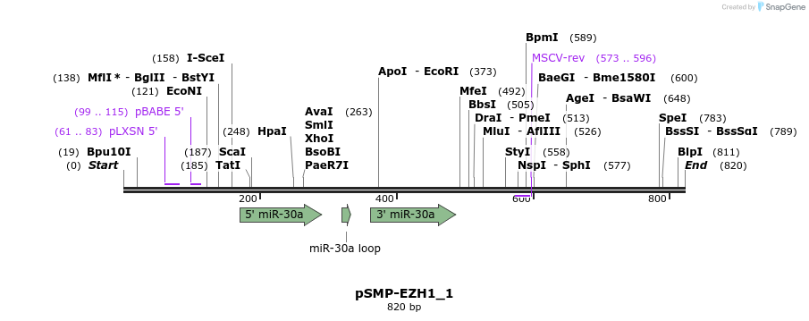 46581_map