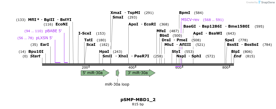 46588_map