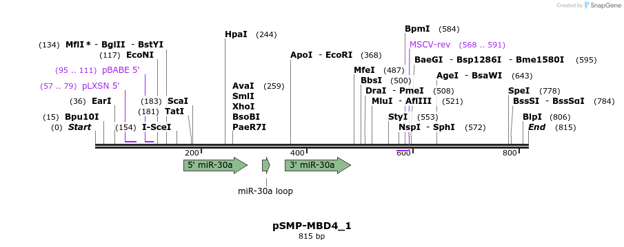 46590_map