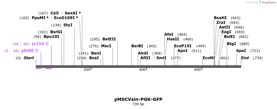 46594_map