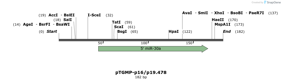 46602_map