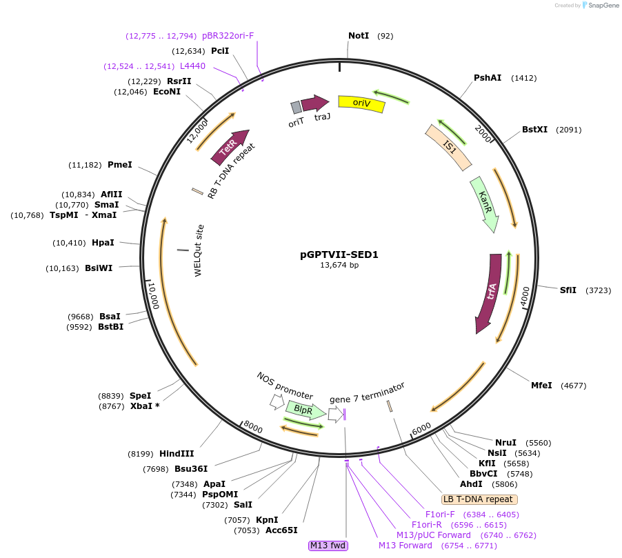 466023_map