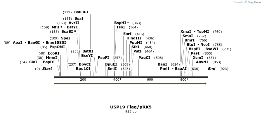 46606_map