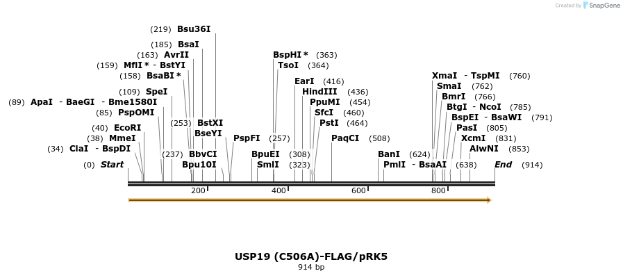 46608_map
