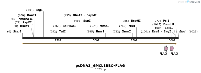 466130_map