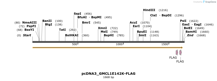 466131_map