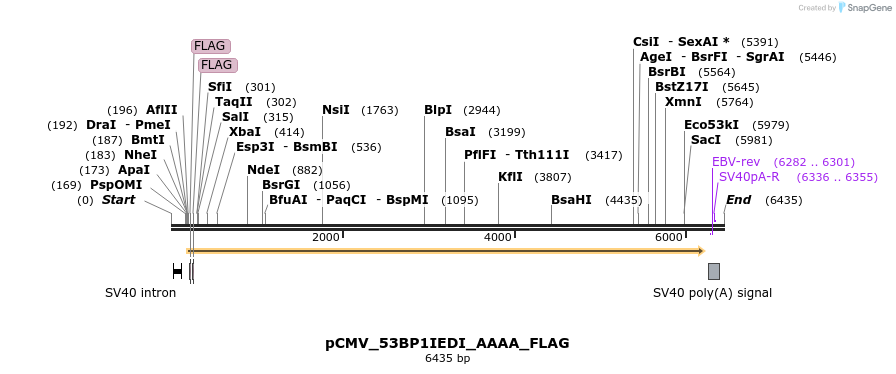 466132_map