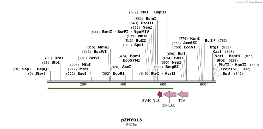 46616_map