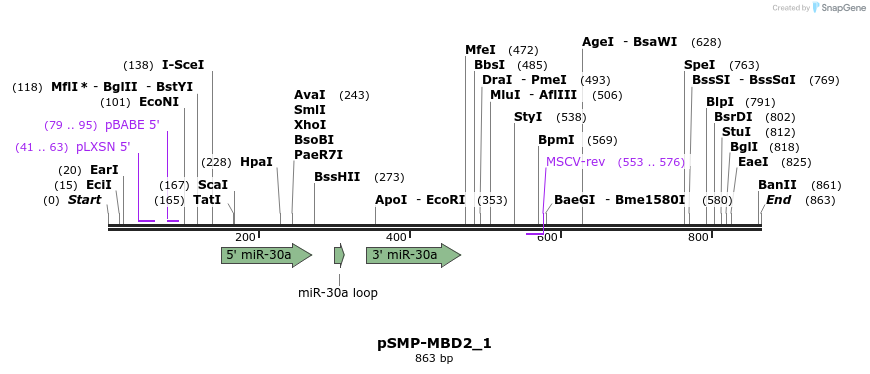 46619_map