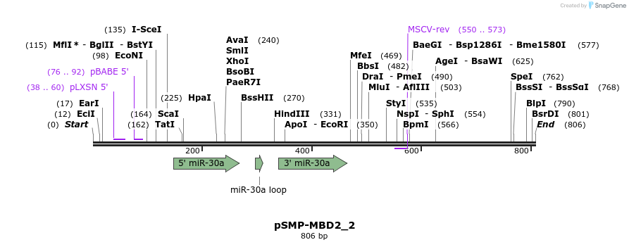 46620_map