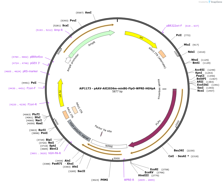 466201_map