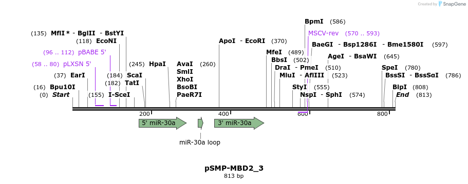 46621_map